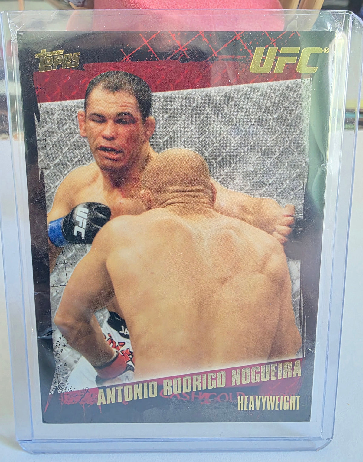 Antonio Rodrigo Nogueira - 2010 Topps UFC #64a