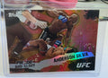Anderson Silva - 2010 Topps UFC Pride and Glory #PG-14
