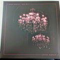 Gord Downie & Bob Rock - Lustre Parfait (180g 2LP Vinyl, Gatefold, 20-Page Booklet) - Unplayed / Near Mint