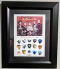 The Tragically Hip Gold Edition Guitar Pick Display #74/100 - Framed Limited Edition